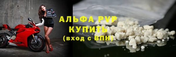 твердый Новодвинск