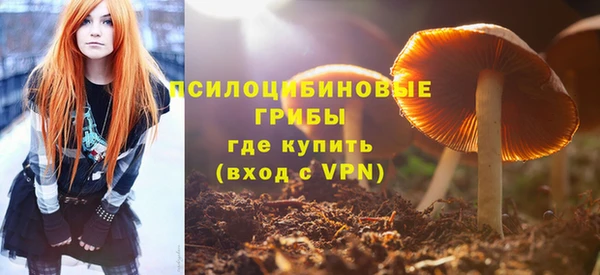 твердый Нязепетровск